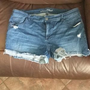 Universal thread jean shorts